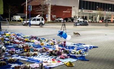 image: Bildet vekker oppsikt: Midt i sorgen dukket det opp en rev